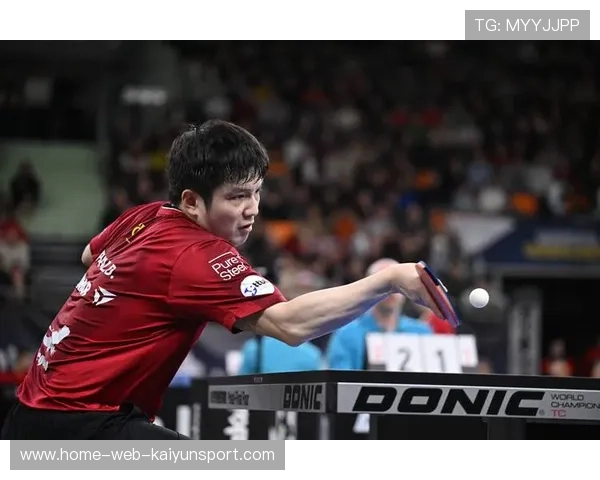 樊振东用实力征服德国赛场，成为国际焦点，樊振东单打德国